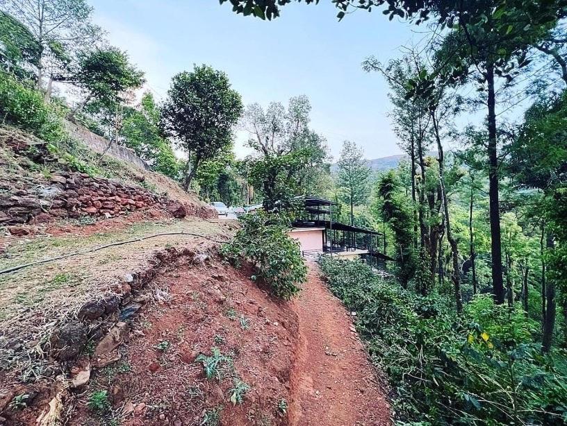 Cloud 9 Homestay Attigundi Exterior photo